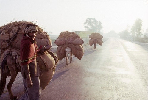 Road to Agra