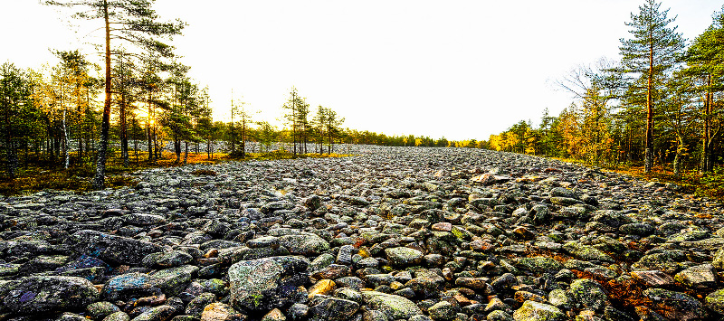 Muinainen rantakivikko, Kivijata, Lauhavuoren kp © Risto Lounema rantakivikko