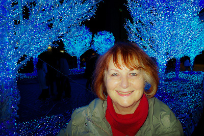Inari at Hong Kong, Christmas 2008 © Risto Lounema inari