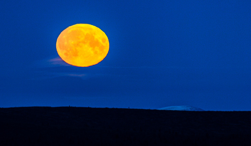 Moon