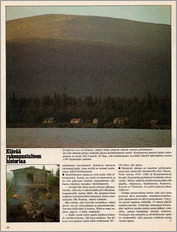 Viikkosanomat